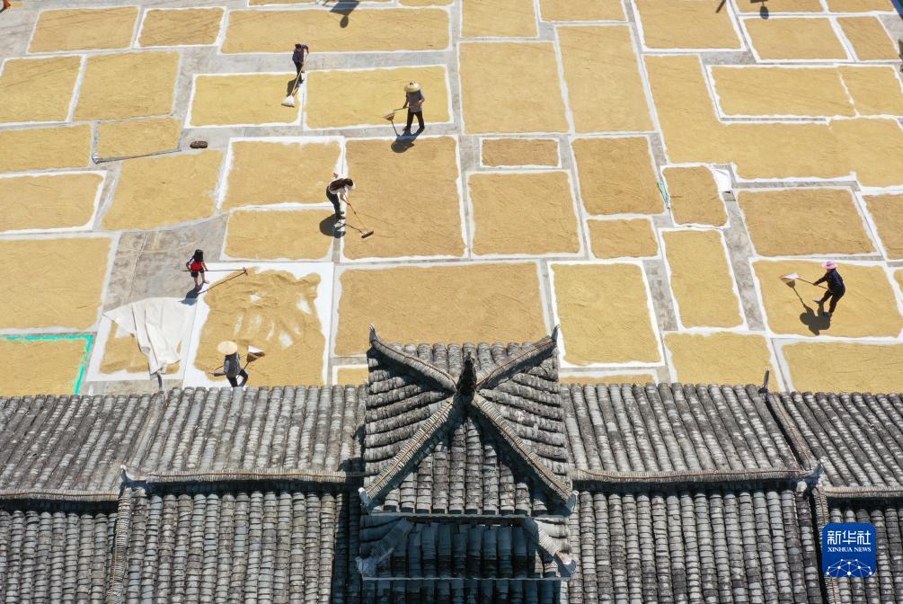 大赢家足球即时比分90